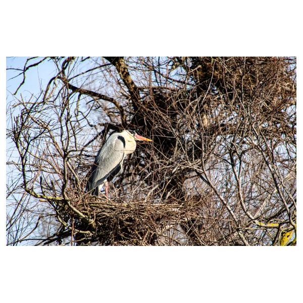 PHOTO84, CLUB, 84 , LUBERON